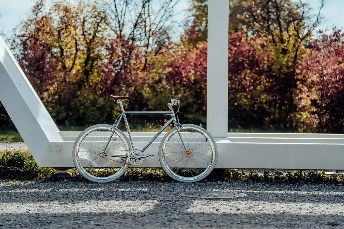 Fixie Singlespeed Chrome